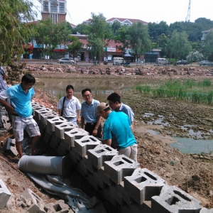 �͑�����