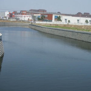 �͑�����