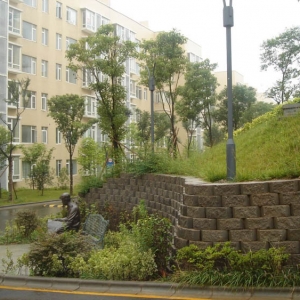 �͑�����