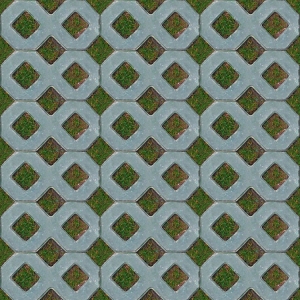 �͑�����